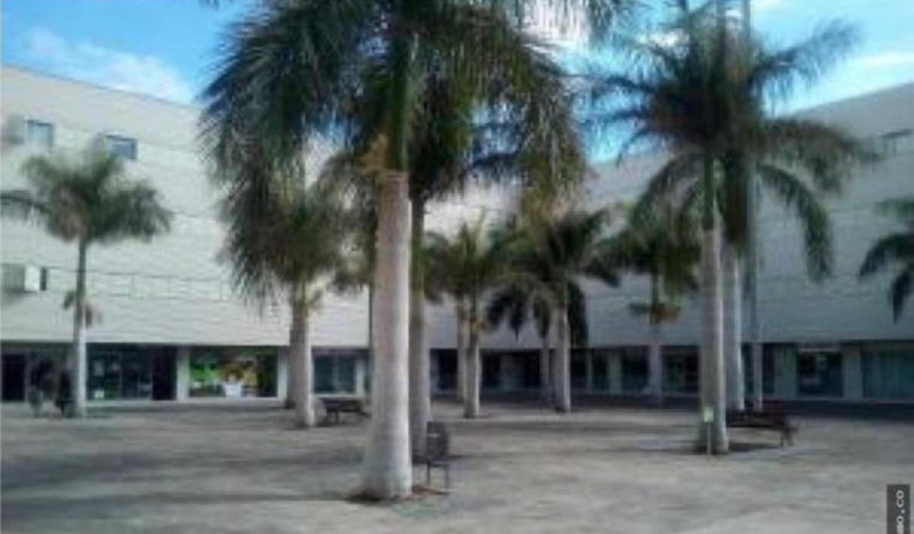 Appartamento Dream Curtidos *